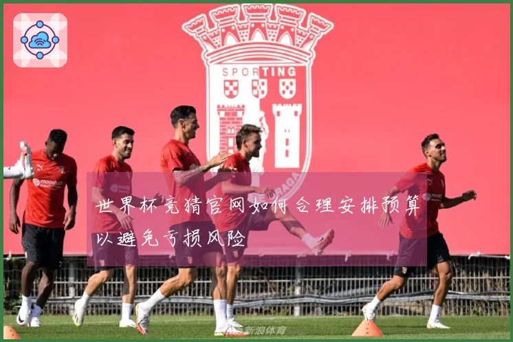 世界杯竞猜官网如何合理安排预算以避免亏损风险