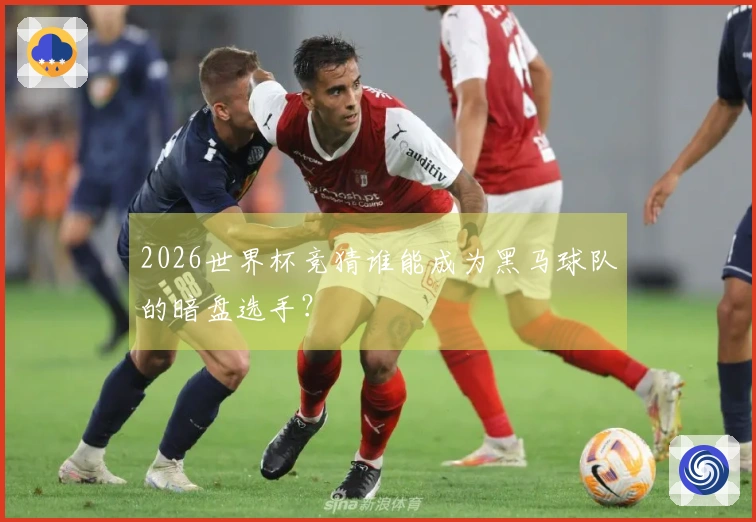 2026世界杯竞猜谁能成为黑马球队的暗盘选手？