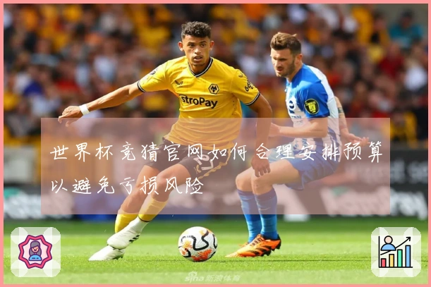 世界杯竞猜官网如何合理安排预算以避免亏损风险